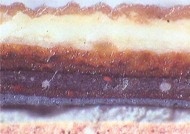 Cross Section